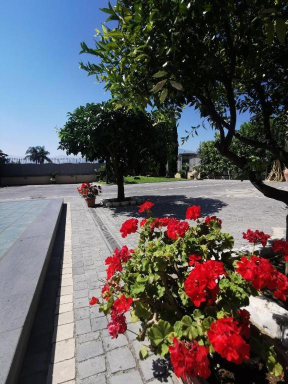 Villa Atrium Pompéi Extérieur photo